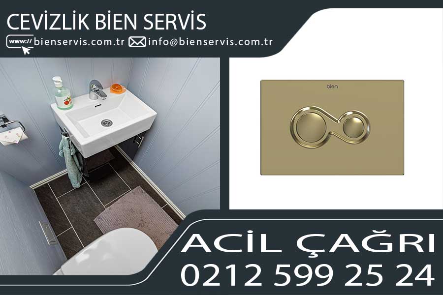 cevizlik bien servis